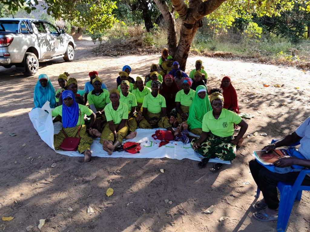 Mulheres de Nantira transformam a economia local com comércio de cereais e oleaginosas Mulheres de Nantira transformam a economia local com comércio de cereais e oleaginosas