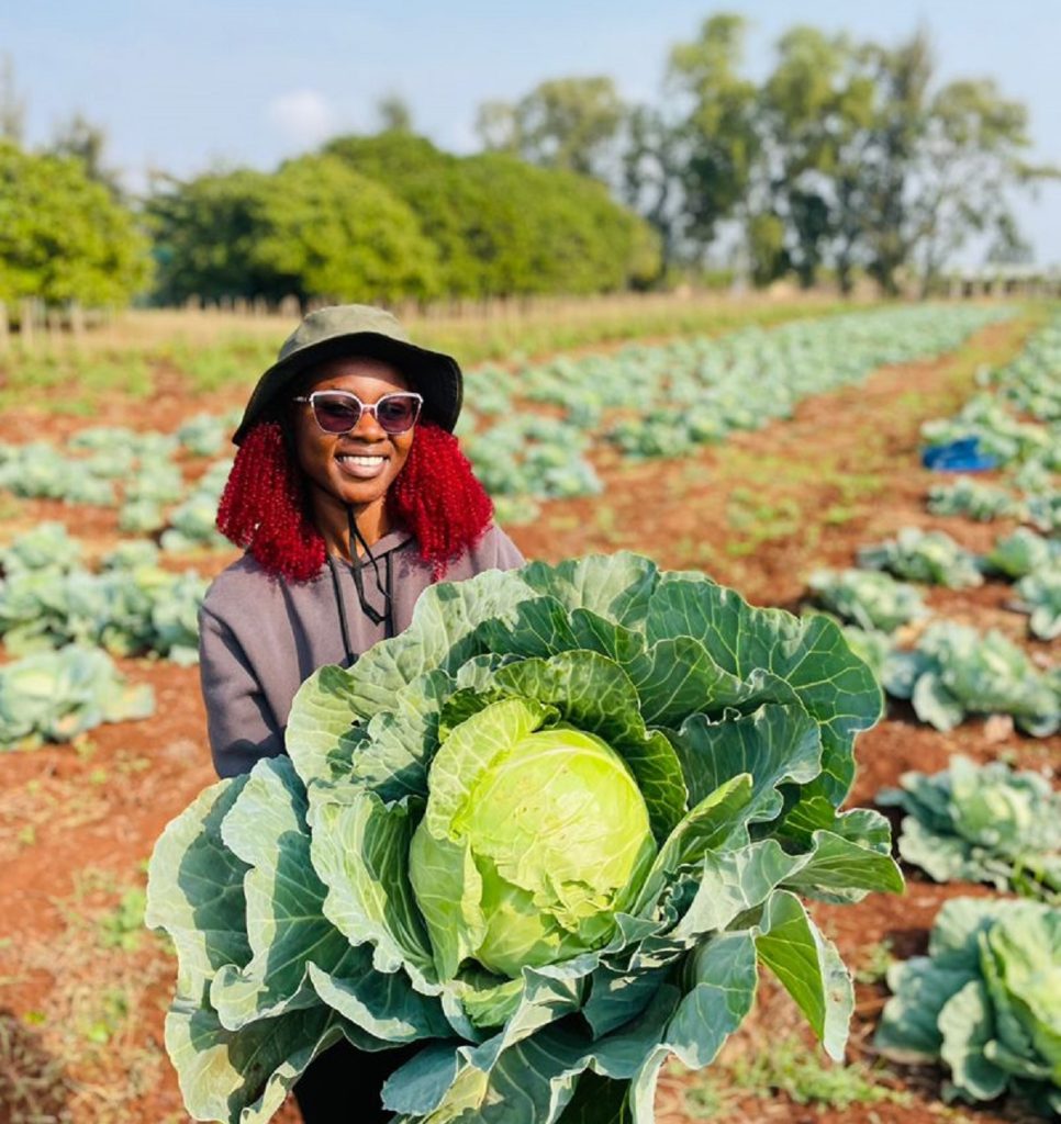 Empreendedora de Boane reforça produção agrícola com apoio do Projecto Nlhuvuko Empreendedora de Boane reforça produção agrícola com apoio do Projecto Nlhuvuko